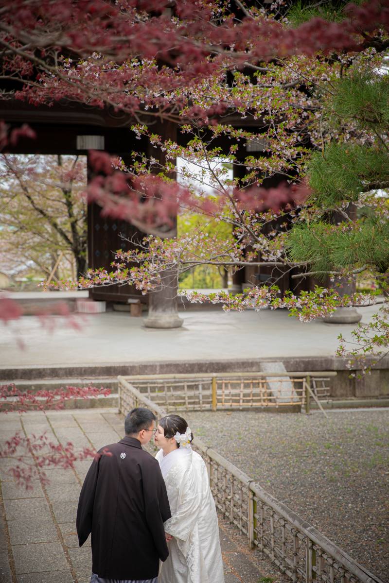 初夏を感じる金戒光明寺へ
