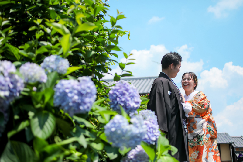 紫陽花と青空