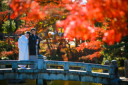 11月紅葉シーズンの前撮り・フォトウェディング残り撮影枠僅か！お急ぎください。