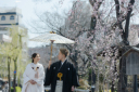 花咲く祇園をぶらり