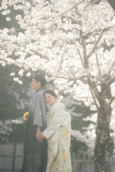 麗しい和装姿を大覚寺の桜と
