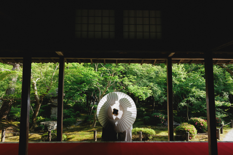 圓光寺を巡る