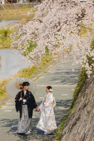 桜舞う鴨川での美しきウェディングフォト