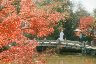 狐面と共にゆく京都散策