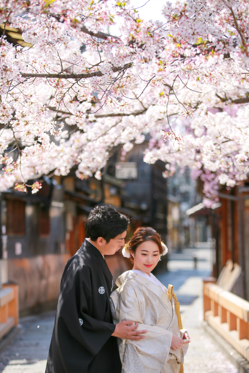 桜ロケ【祇園】