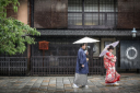梅雨時でも、京都のロケは綺麗です!!