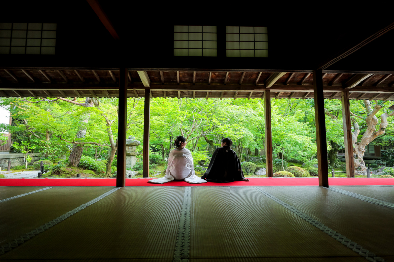夏色に染まる圓光寺
