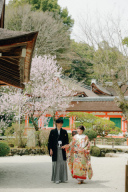 京都の桜の見頃や新緑など四季の撮影について