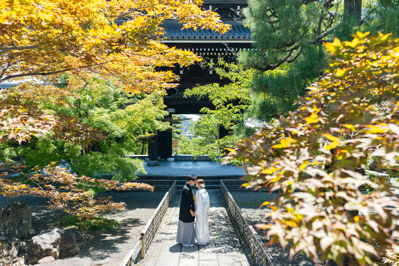 透明感きらめく 夏の金戒光明寺