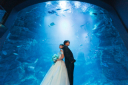 二人きりの水族館Wedding