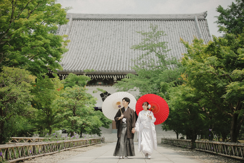 紫陽花!きれいです!