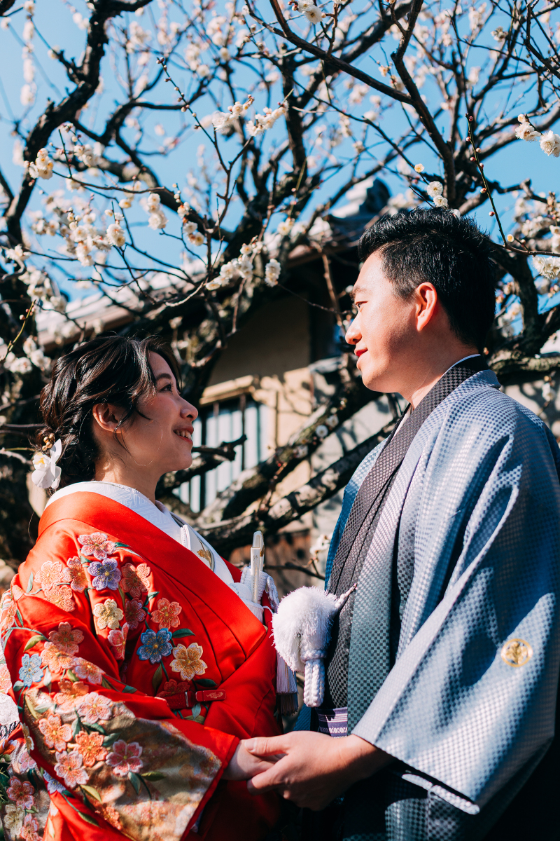 着物で楽しむ泉涌寺と八坂