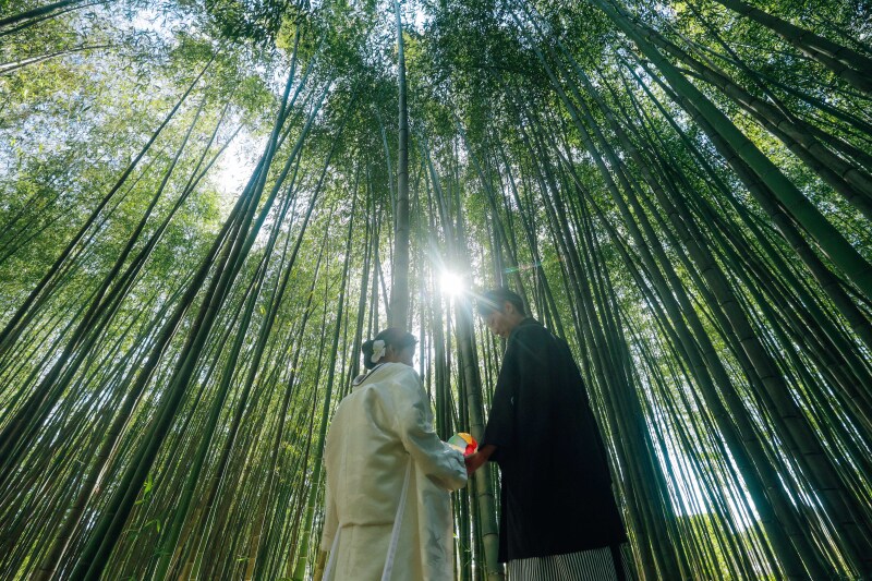 竹林の撮影も！大覚寺ロケーション