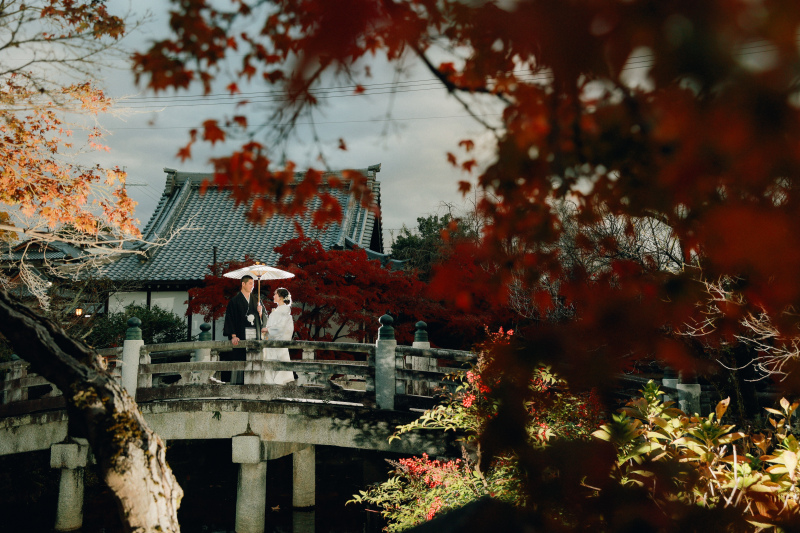 紅葉に彩られた秋の京都