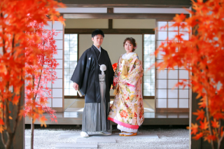 スタジオTVB京都店の屋内庭園スタジオなんです!