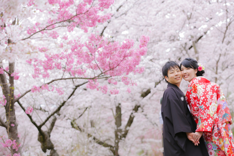 あとわずか!! 桜ロケーションフォト