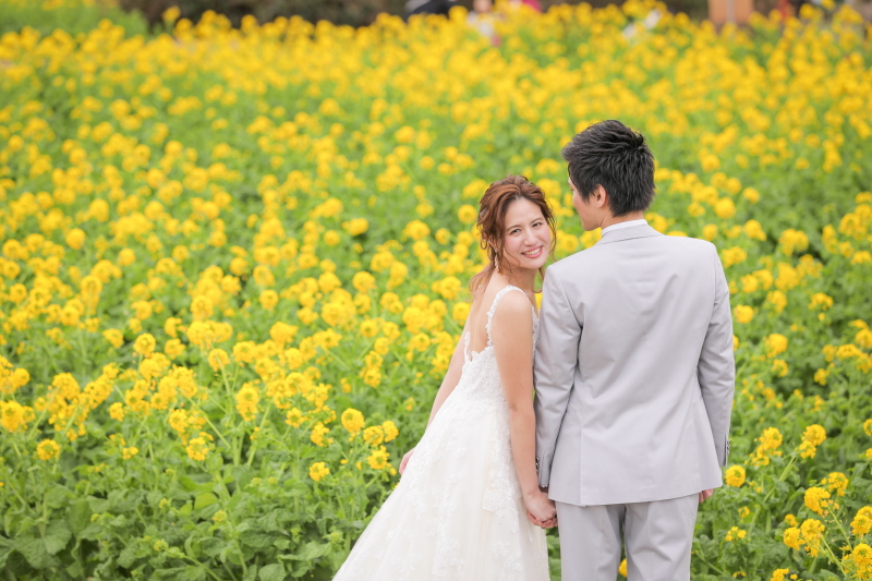早咲きの菜の花♪