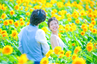 夏!と言えば…向日葵でしょう!