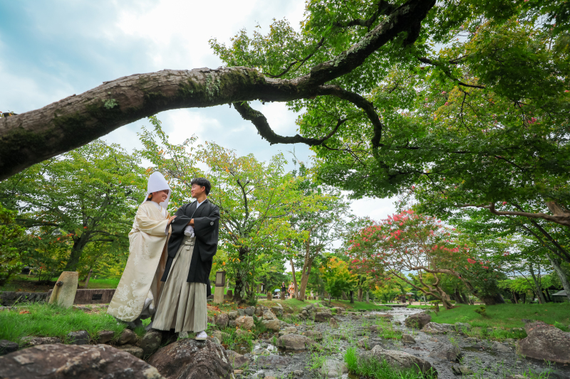 まだ新緑が綺麗な円山公園で。