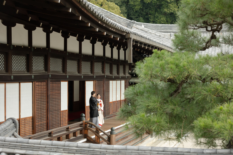 冬の金戒光明寺でかっこよく