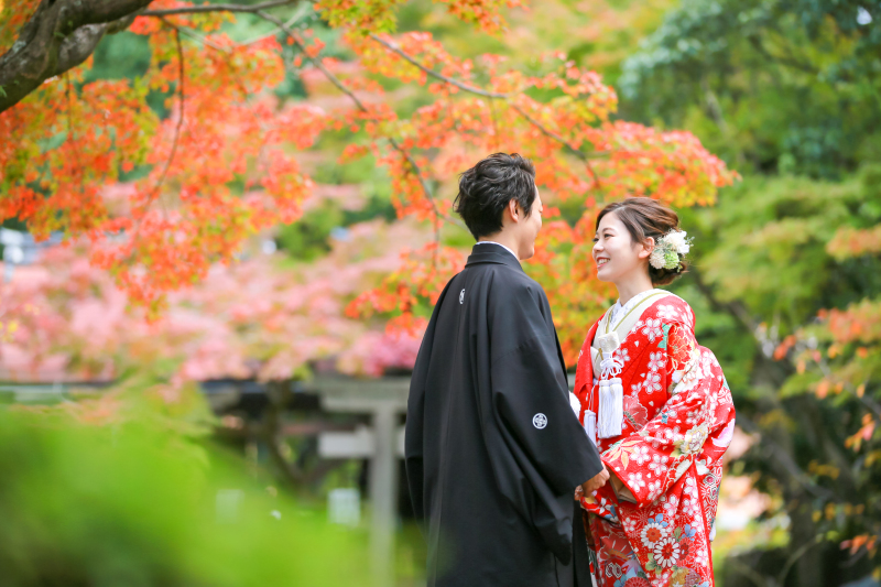 去年11月上旬の紅葉イメージです。