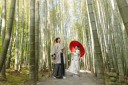 緑美しい圓光寺でのひととき