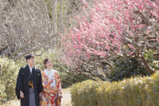 【梅の名所巡り】京都梅ロケーション相談フェア