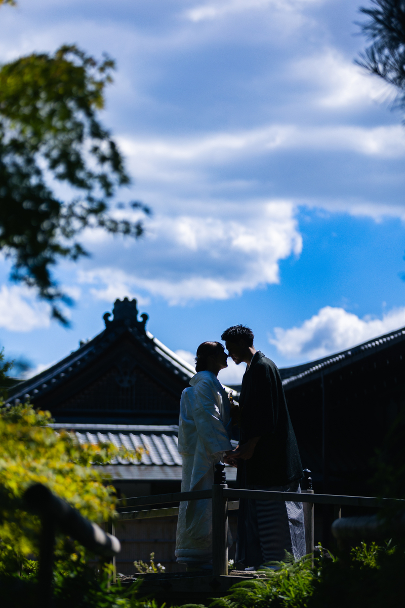 透明感きらめく 夏の金戒光明寺