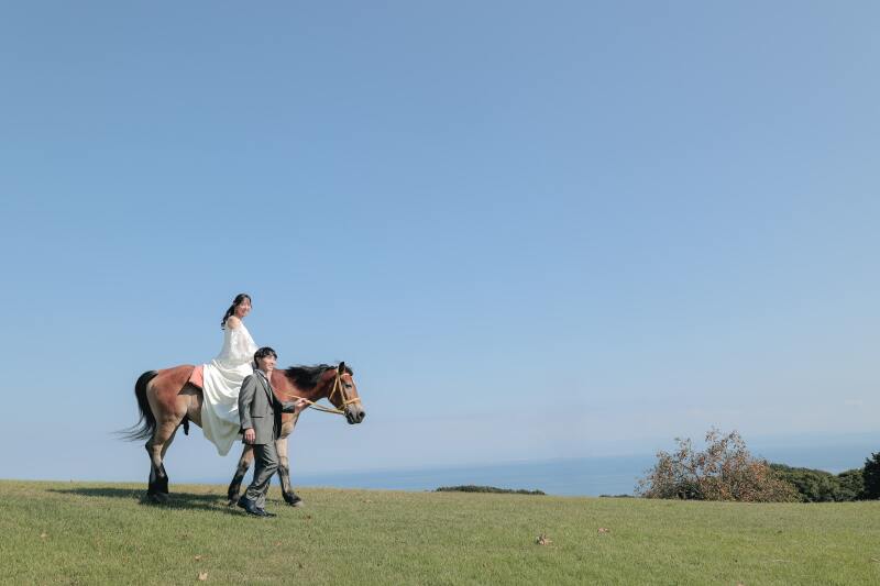 「淡路島花さじきでのロケーションフォト〜馬と花と青空に包まれて〜」