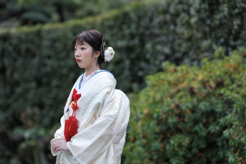 冬の相楽園撮影