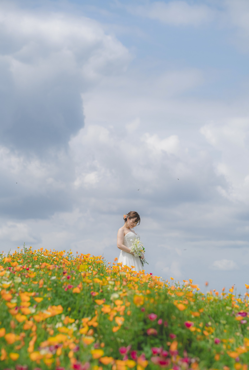 花さじきロケーション撮影