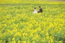 春ロケのご紹介【1月下旬〜3月見頃】