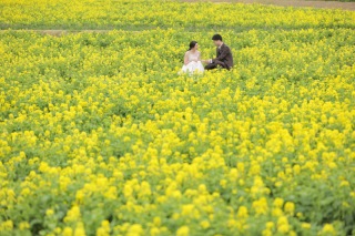 春ロケのご紹介【1月下旬〜3月見頃】