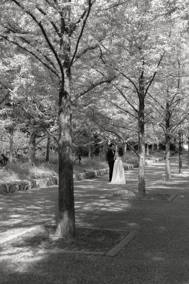森林植物園ロケーション