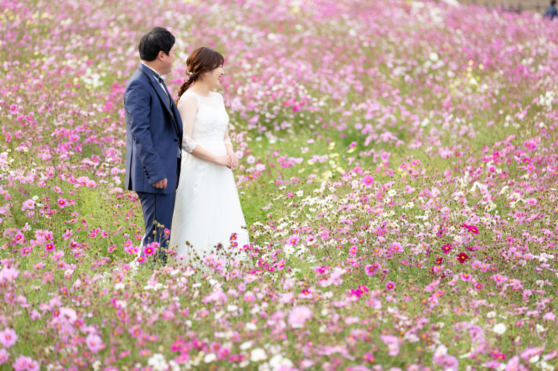 花さじきのご紹介