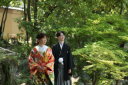 新緑の日本庭園