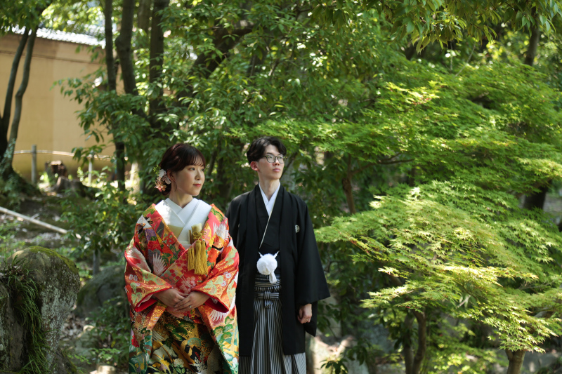 新緑の日本庭園
