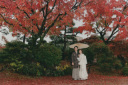 雨の紅葉
