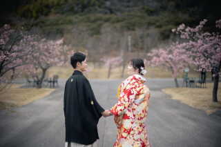 河頭桜