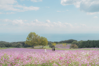 THE LANDSCAPE OF US.　ふたりのいる風景