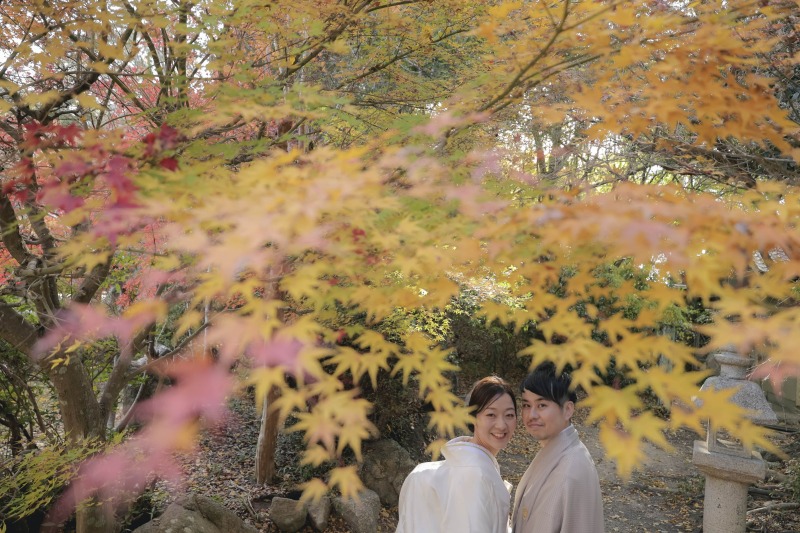 今年も紅葉撮影に行ってきました