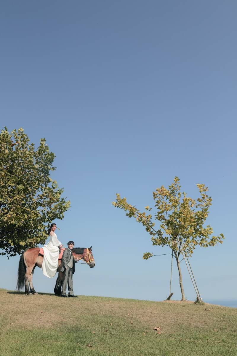 「淡路島花さじきでのロケーションフォト〜馬と花と青空に包まれて〜」