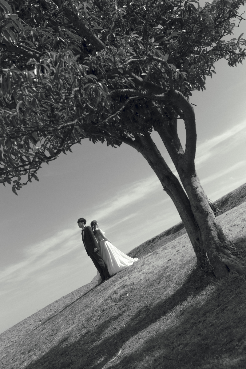 花さじきロケーション