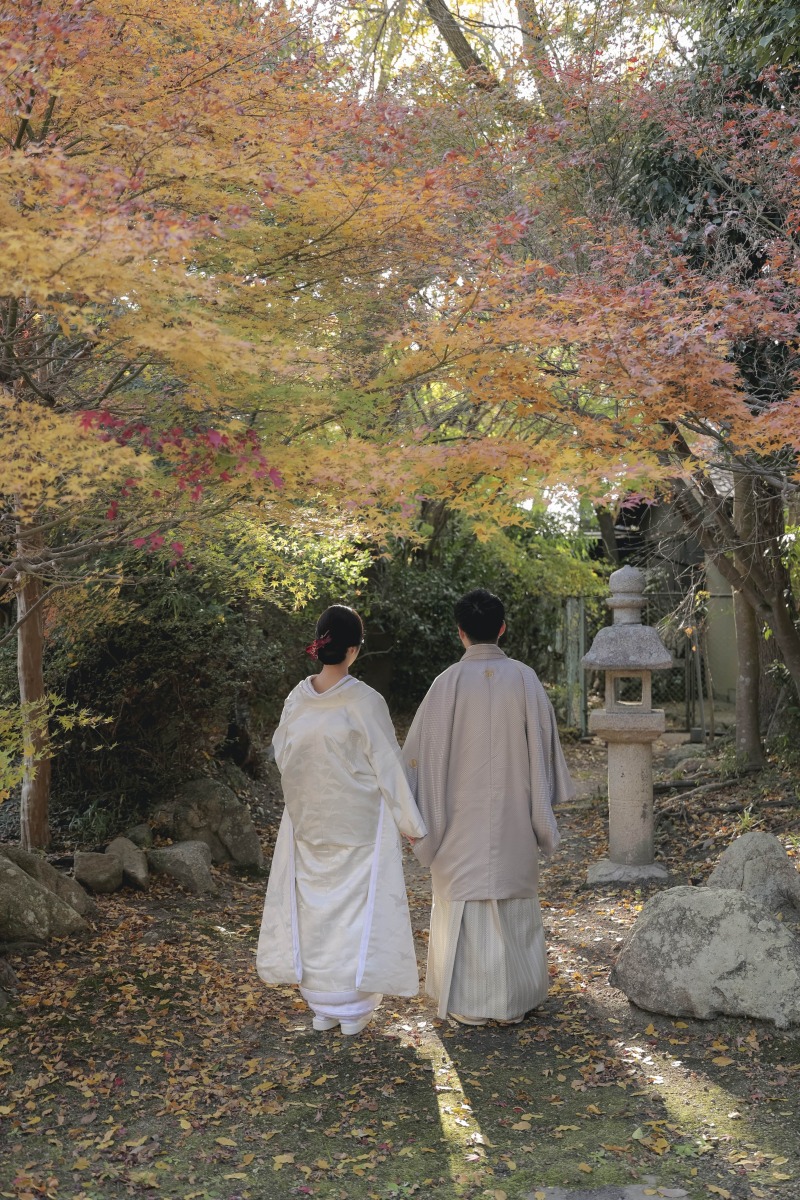 今年も紅葉撮影に行ってきました