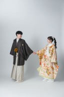 無地の背景で自由に撮影