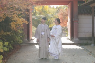 今年も紅葉撮影に行ってきました