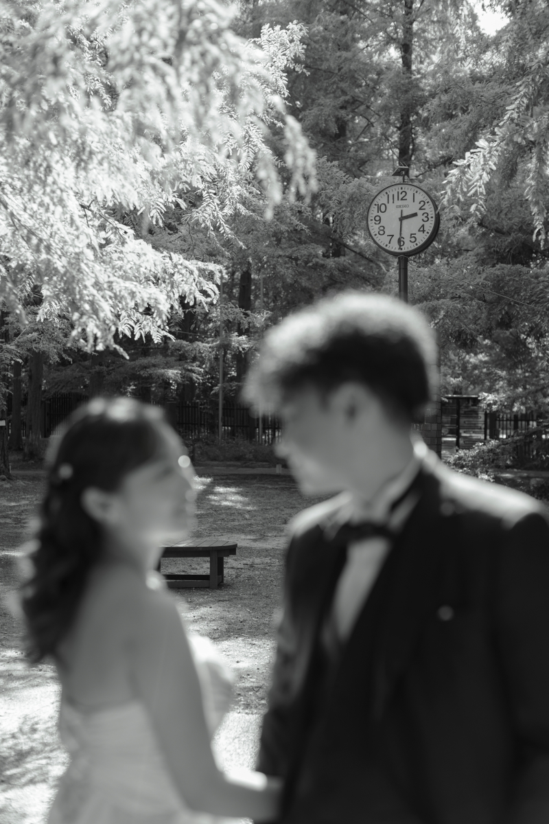 森林植物園ロケーション