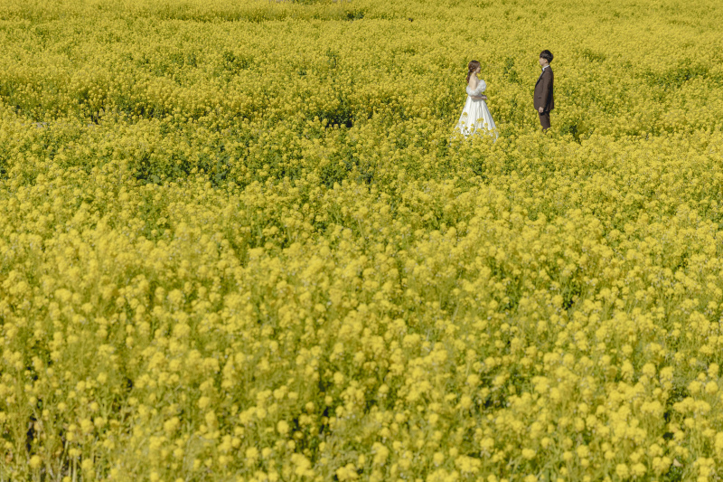 花さじきロケーション