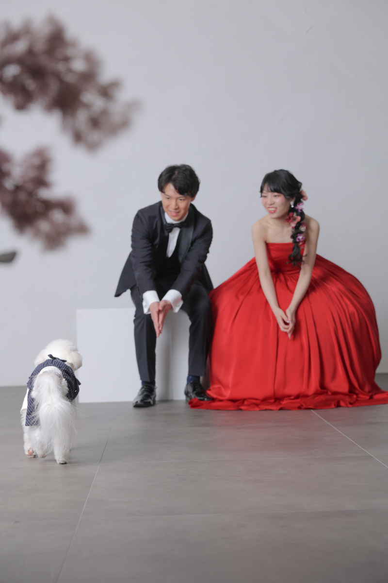 わんちゃんと一緒に撮影！