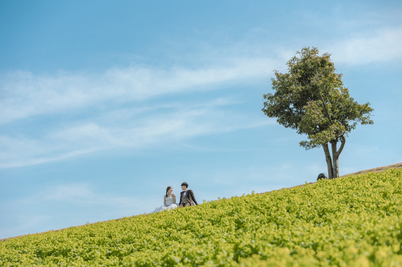花さじきロケーション
